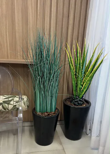 Vasos de decoração com plantas