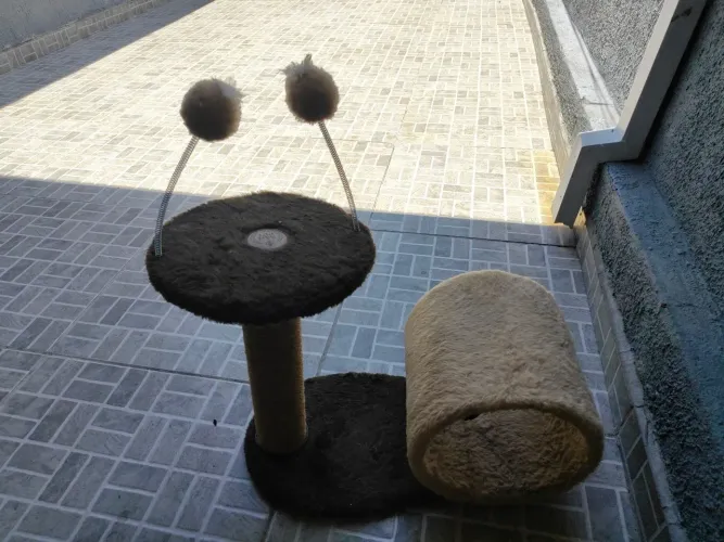 Arranha de gato