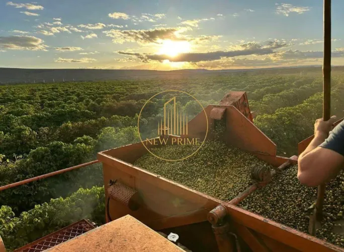 Fazenda à venda, 5 quartos, 2 suítes, 20 vagas, Centro - Montes Claros/MG