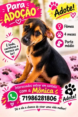Cachorrinha filhote