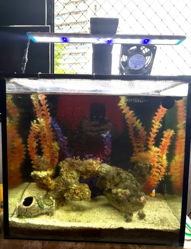 Aquário com sump interno