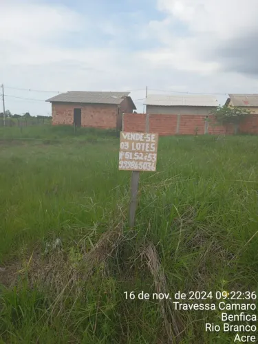3 lotes