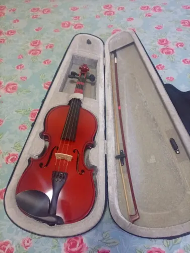 Violino