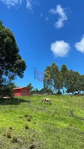 FAZENDA À VENDA EM URUÇUCA/ILHÉUS 95 HECTARES | CACAU E PASTAGEM