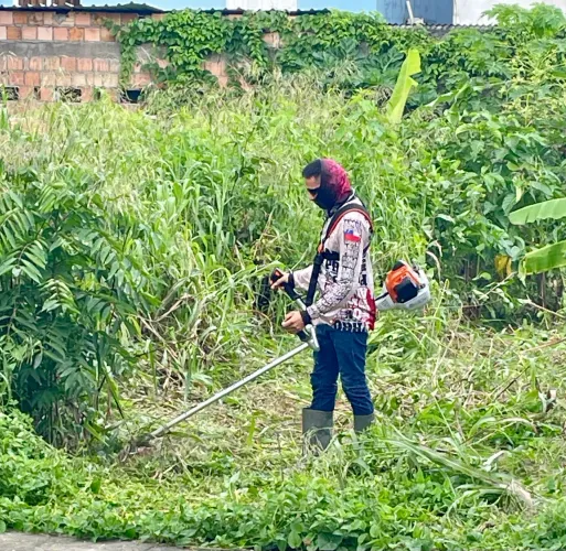 Serviços de Roçagem - Limpeza de Terrenos