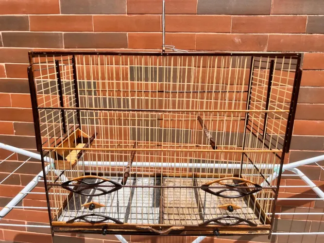 Gaiola voador/criadeira 