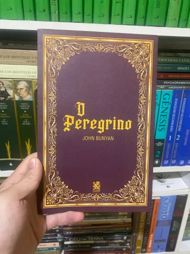 Livro O peregrino- John Bunyan