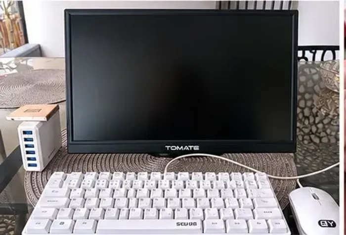 Monitor portátil 