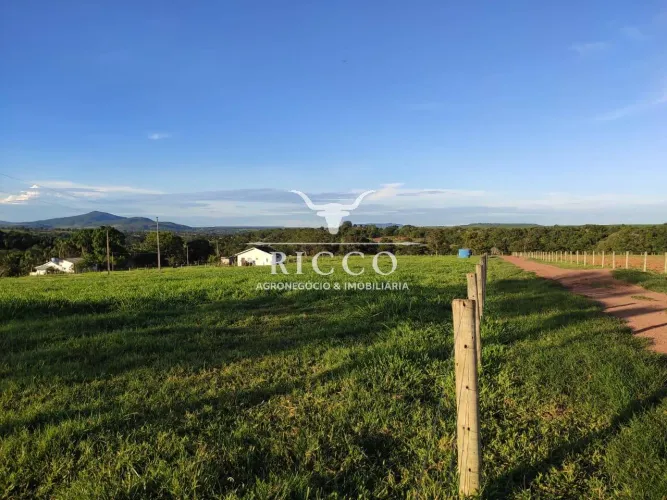 Fazenda à Venda em Iporá GO | 228,33 Hectares