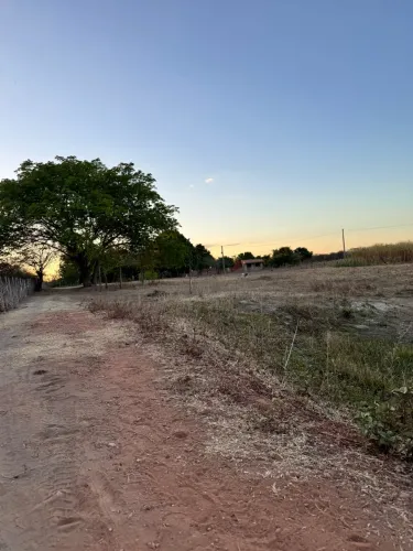 Vende se sítio