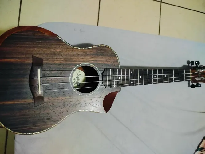 Ukulele Seizi