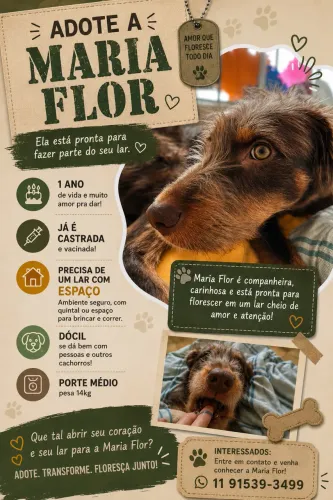 Adoção Responsável