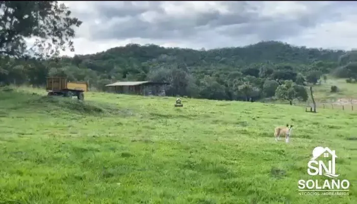 Fazenda 97,63 hectares no município de Faina-GO.