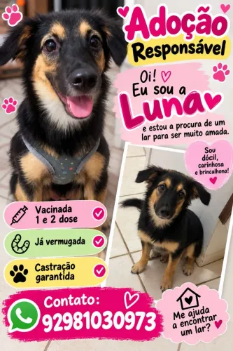Doando essa cachorrinha