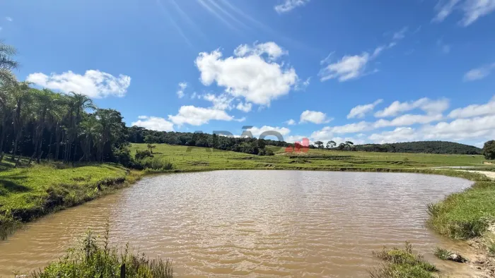 Fazenda Piracanjuba 20 alqueires Priracanjuba e Cristianopolis saida para Bela Vista a 90k