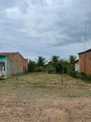 Roçagem / capina de lotes, terrenos, jardim, quintal 