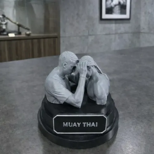 Muay thai / escultura / troféu personalizado