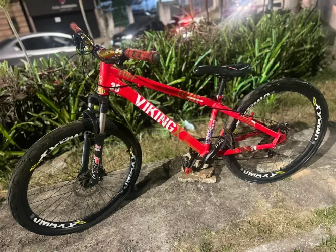 Quadro vikingx