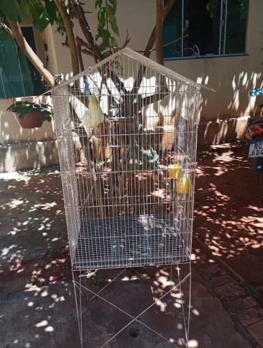 Gaiola de passarinho
