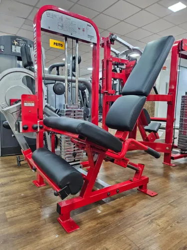 EXTENSORA PARAMOUNT