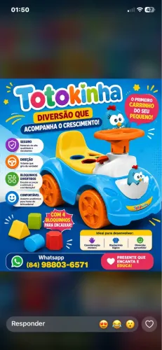 TOTOKINHA CARRINHO PARA SEU PEQUENO