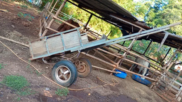 Vendo carroça 