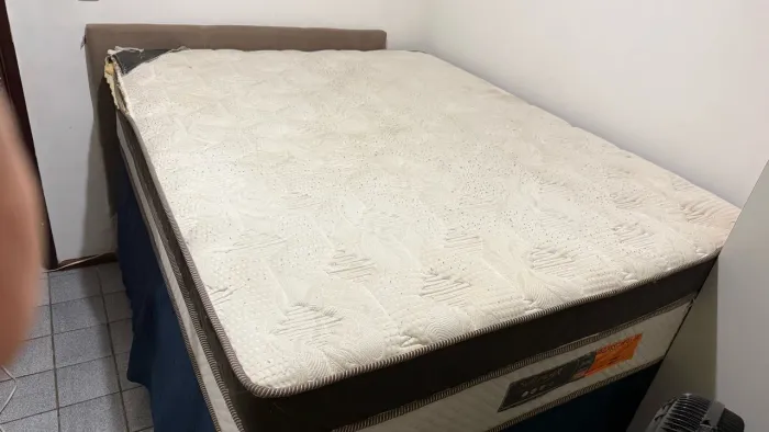 Cama