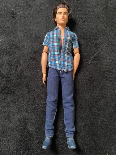 Ken fashionista 2013