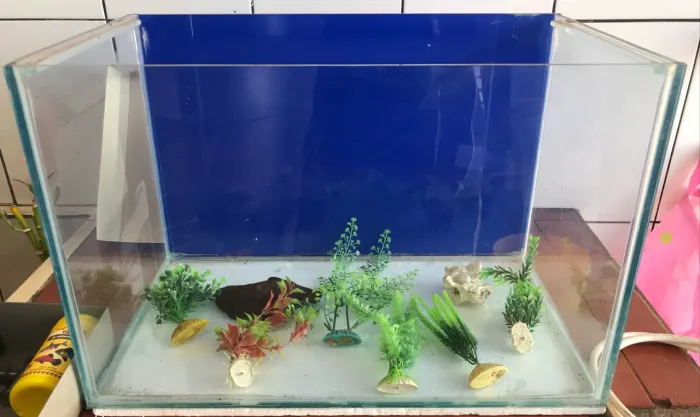 Aquário de 50L