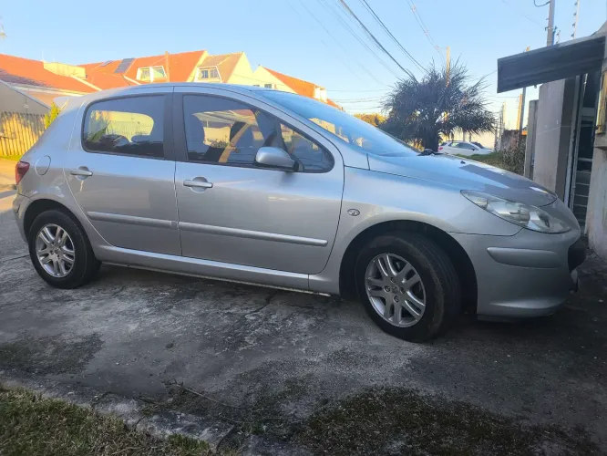 Peugeot 307 Feline/griff/premi. 2.0 Flex 5P Aut. 2008