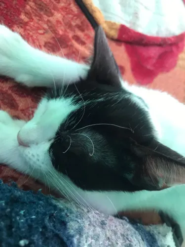 Ágata 8 meses