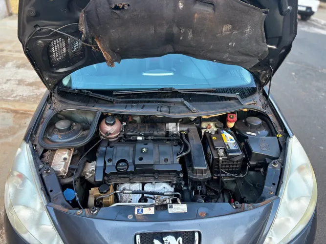 Peugeot 207 XS 1.6 Flex 16V 5P 2011