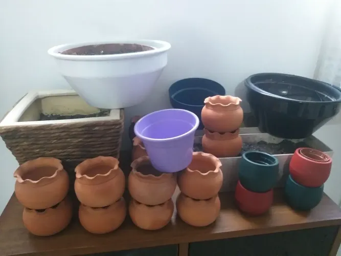 Vasos plantas 25 unidades