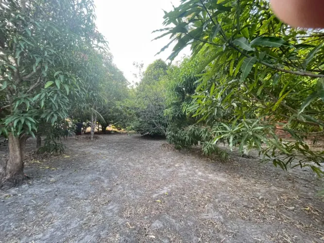 Terreno todo murado e com portão de alumínio