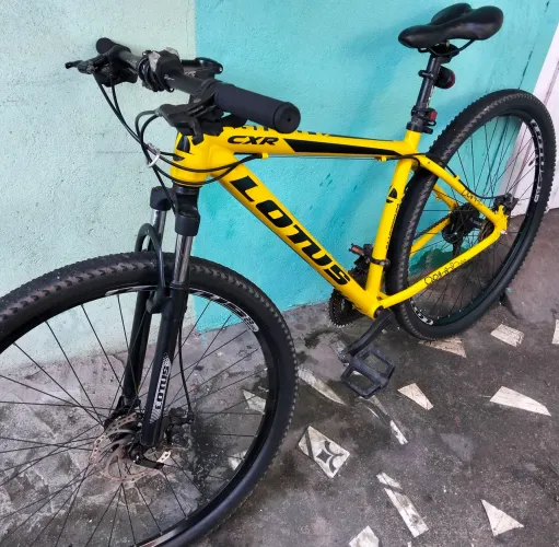 Bicicleta