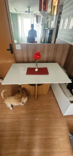 Mesa da madeira madeira conservada