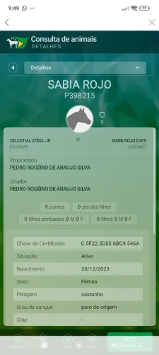 POTRA PO APENAS 2 ANOS E 7 MESES. ( SABIA ROJO) FILHA DE UM IRMÃO PRÓPRIO DO SIMPATIA ROJO