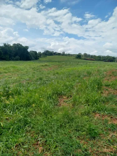 2 alqueires em cesario langer. Não tem casa Lago Rio no fundo Valor 600.000,00 mil