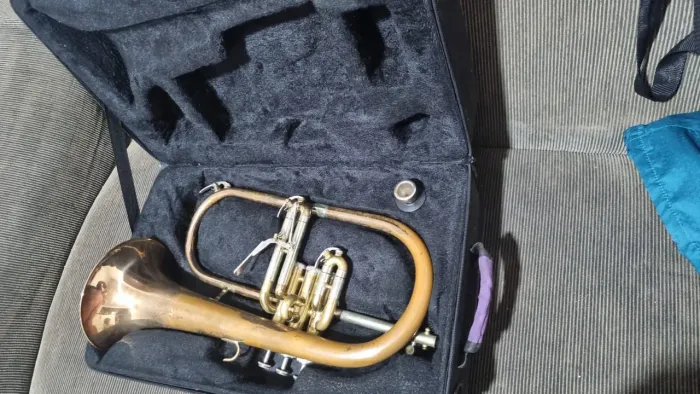 Vendo instrumento musical