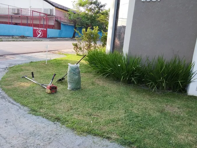 Limpeza de jardim e Roçado interessado no chat
