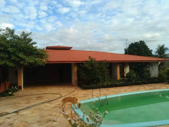 *FAZENDA CALUMBI* *município de Fortuna jatobá* *Ma* Área total. *16.000* dezesseis mil he