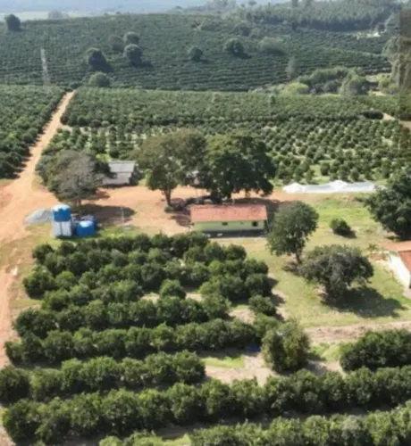 Fazenda à Venda | 170 Alqueires | Região de Itapetininga/SP  Angatuba/SP