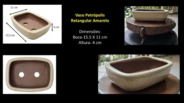 Vaso de Bonsai retangular Petrópolis