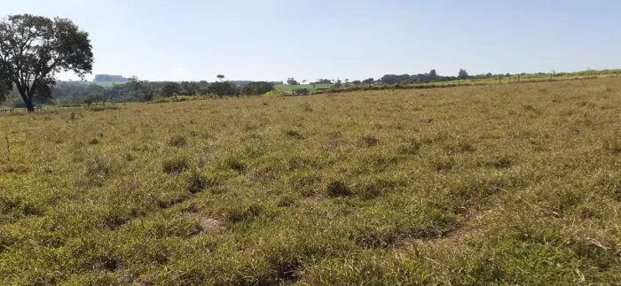 sitio em cajuru 2.25 alqueires,54.450 metros quadrados 600.000.00