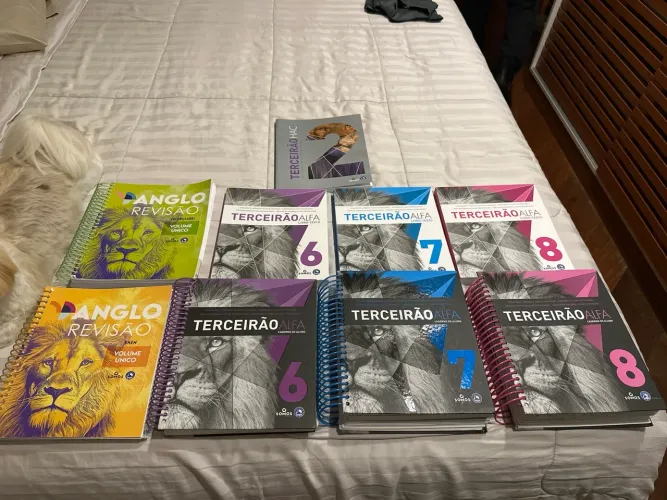 Apostilas Anglo Terceirão 2025 - pouco uso