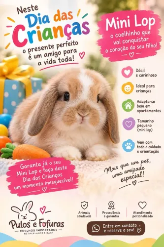 Mini lop