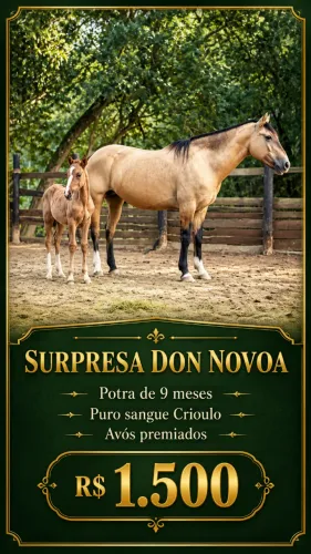 Vendo egua Crioula puro sangue