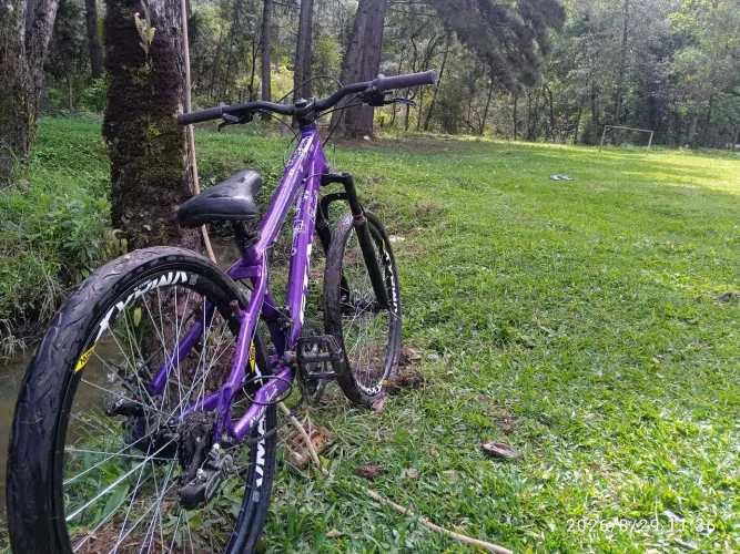 Bike Gta Rebel