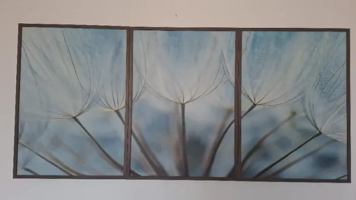 Conjunto de quadros