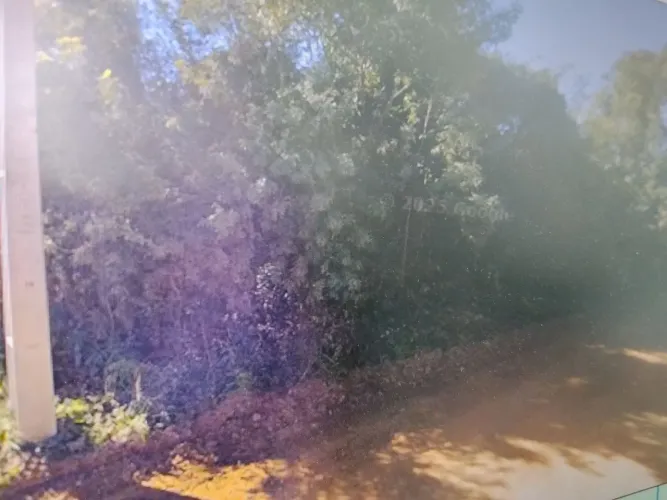 Vendo chácara com 4.300m2